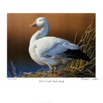 2013 Nevada Duck Stamp print Conservation Edition - $45