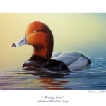 2006 Federal Junior Duck Stamp print -$50