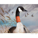 Collared Goose Print - $35