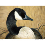 Canada Goose print - $45