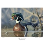 "High Water Heaven" 2025 Federal Duck Stamp entry