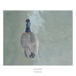 "Slowly Drifting" - $75